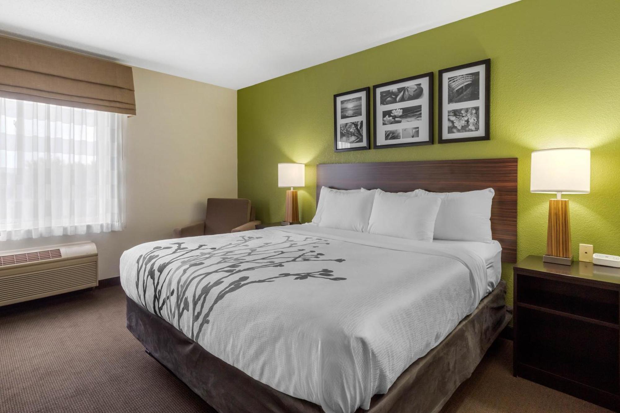 Sleep Inn & Suites Allendale Habitación foto